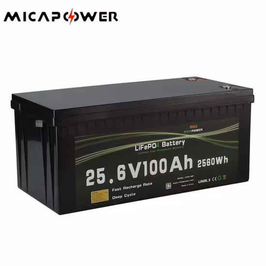 Nuovo arrivo 100ah 150ah 200ah batteria al litio ferro fosfato (LiFePO4) batteria di stoccaggio S RV speciale batteria al litio ferro fosfato